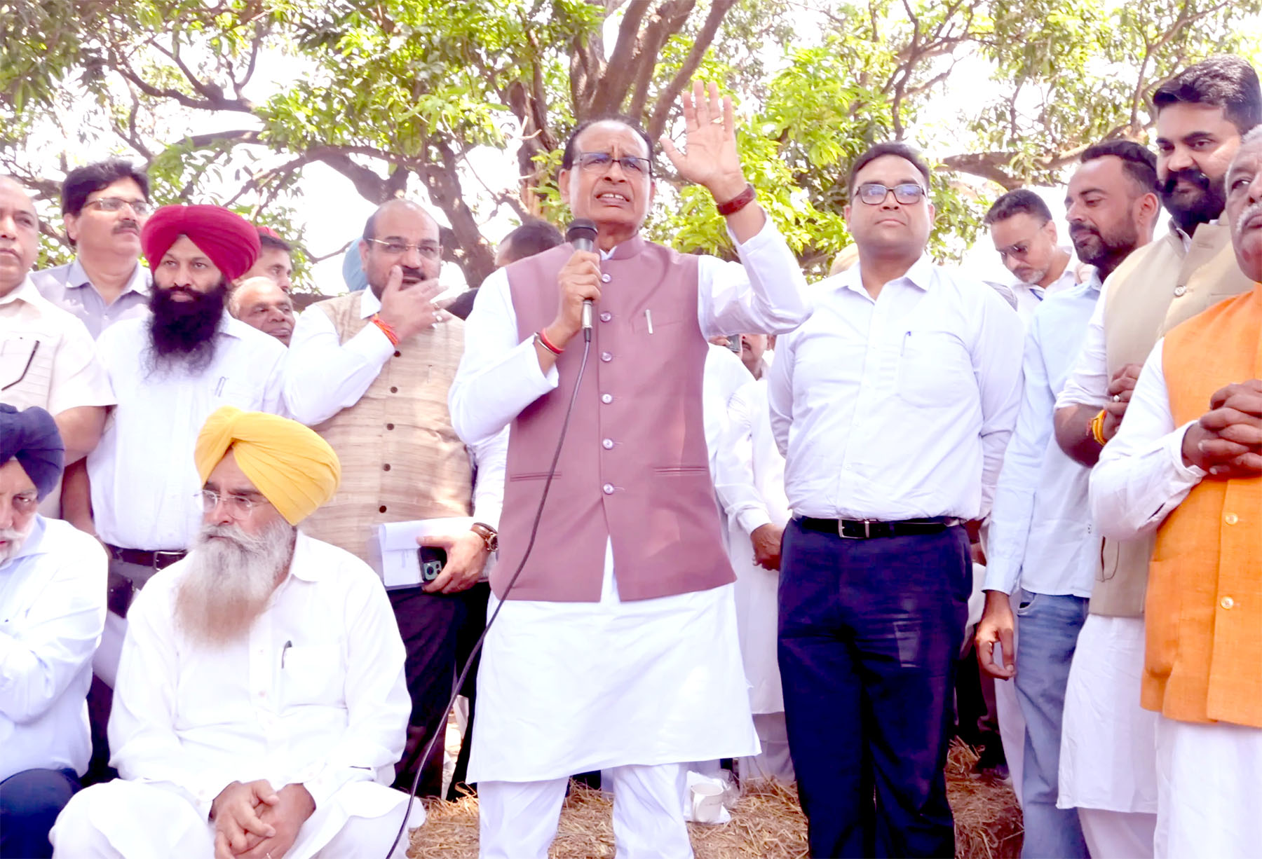 Crop diversification is the need of the hour: Chauhan
